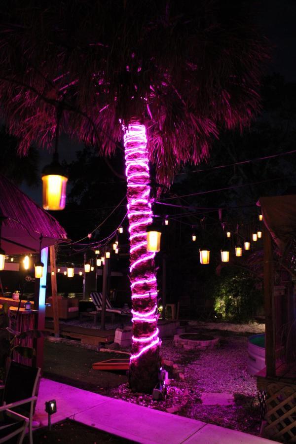 World Solo Travel'S Welcomed At St Pete Home St. Petersburg Exterior photo